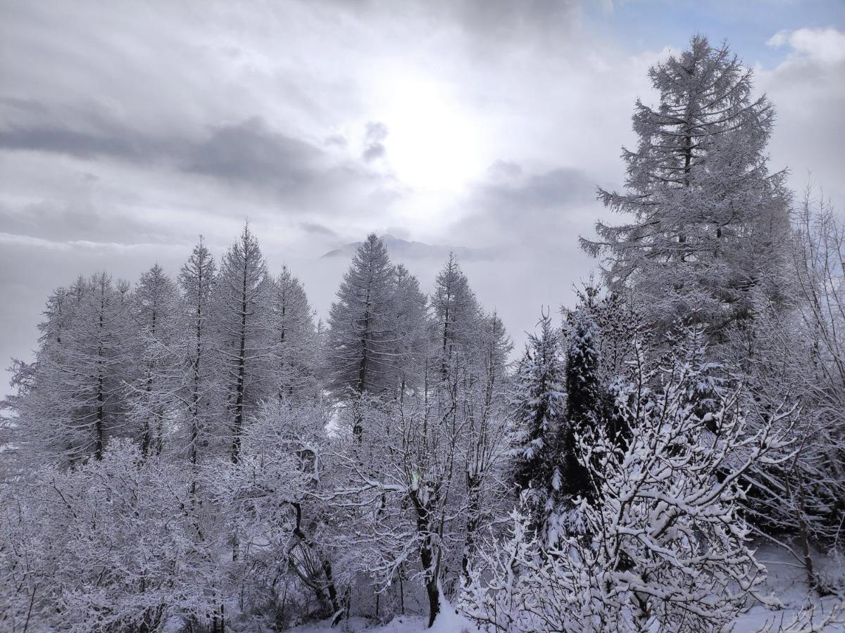 Bel Appartement Au Rez De Chaussee D'Un Chalet Jarrier 外观 照片