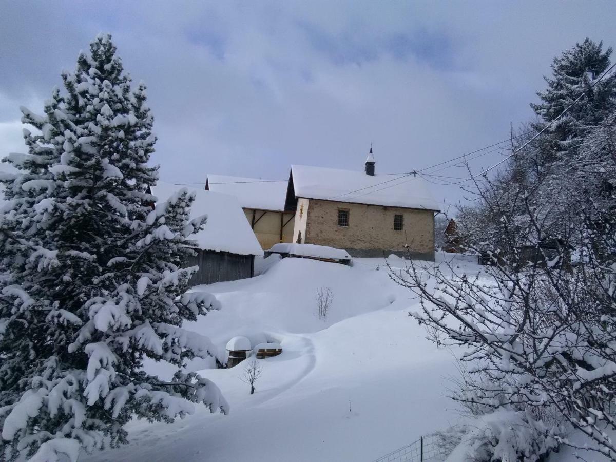 Bel Appartement Au Rez De Chaussee D'Un Chalet Jarrier 外观 照片